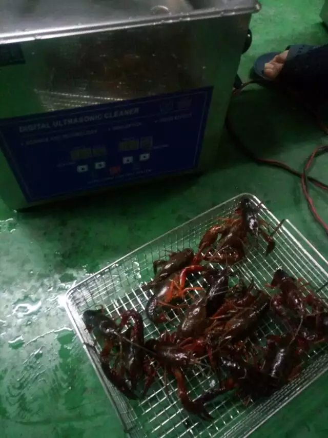 小龍蝦超聲波清洗機(jī)洗蝦機(jī)